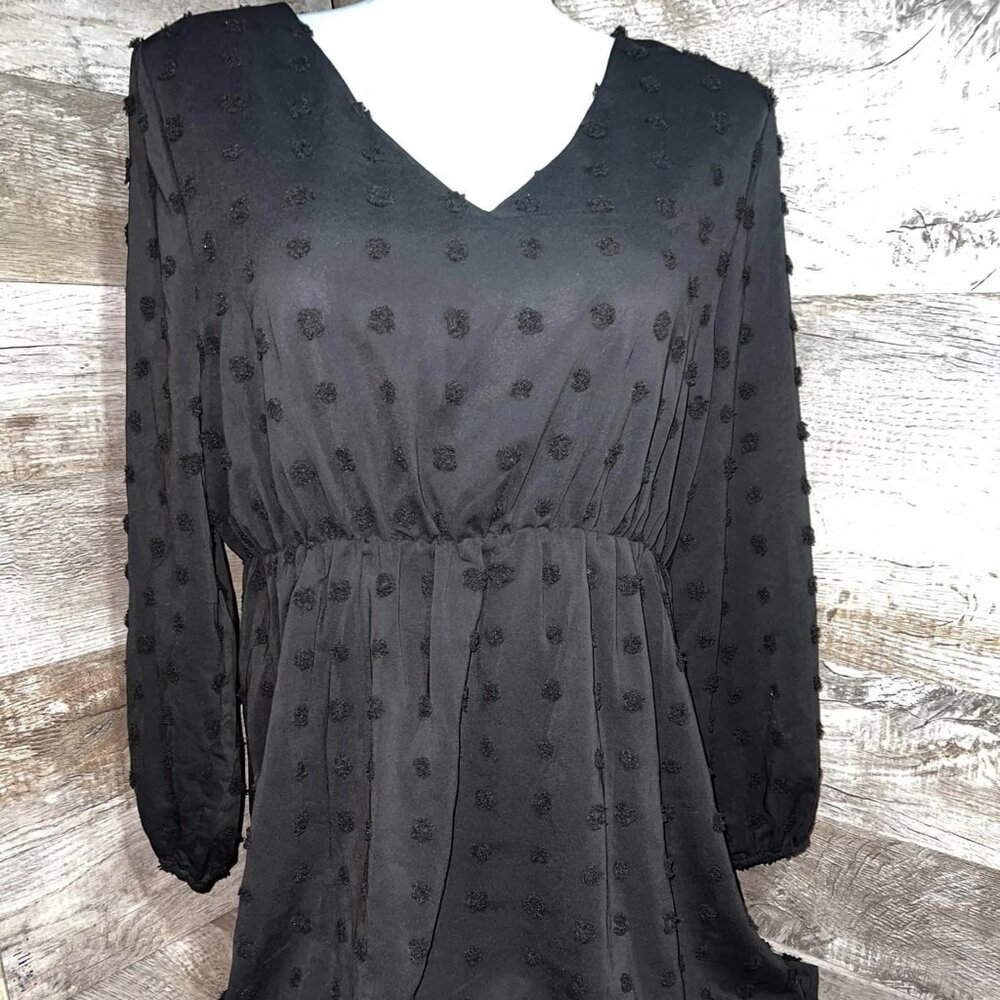 Black Swiss Dot Long Sleeve Dress